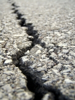 Crack in an Asphalt Driveway