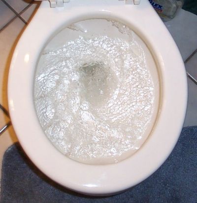 A Properly Flushing Toilet; photo courtesy Kelly Smith
