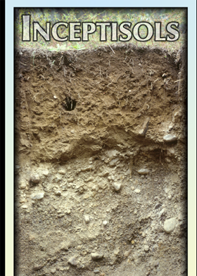 Soil layers; Photo courtesy US gov